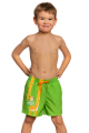 Шорты для мальчиков 2-6 Breeze shorts kids Q1
