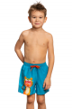 Шорты для мальчиков 2-6 Breeze shorts kids H2